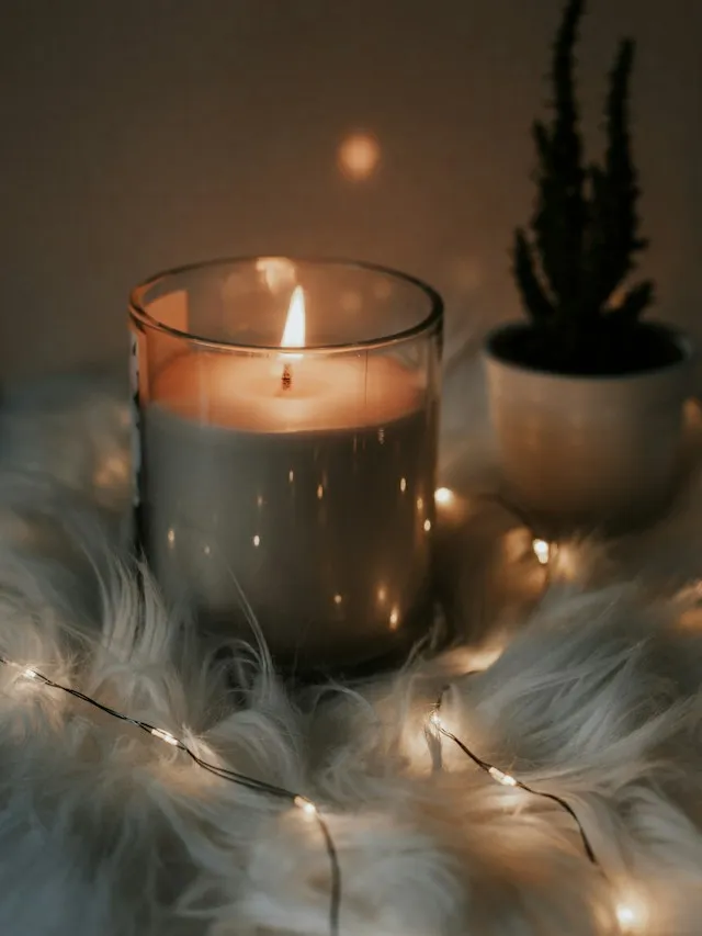 Cedar soy candle